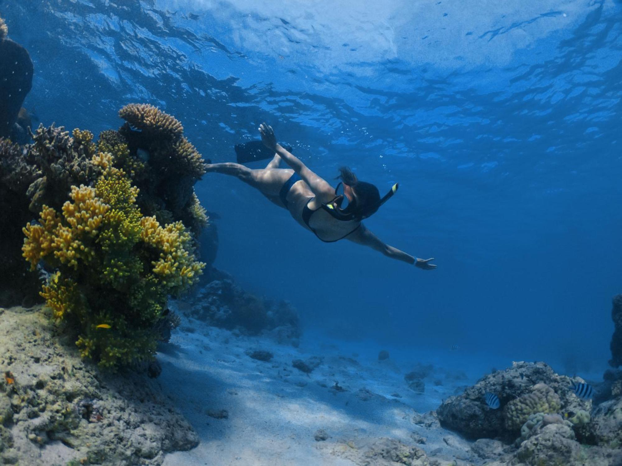 Mantaray Island Resort Nanuya Balavu Island Kültér fotó