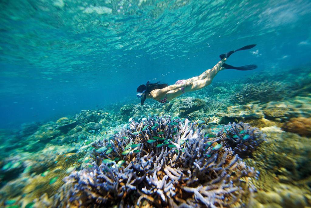 Mantaray Island Resort Nanuya Balavu Island Kültér fotó